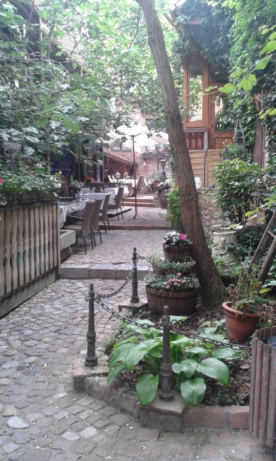 Les Apparts Du Gewur'Z Bergheim Exterior photo